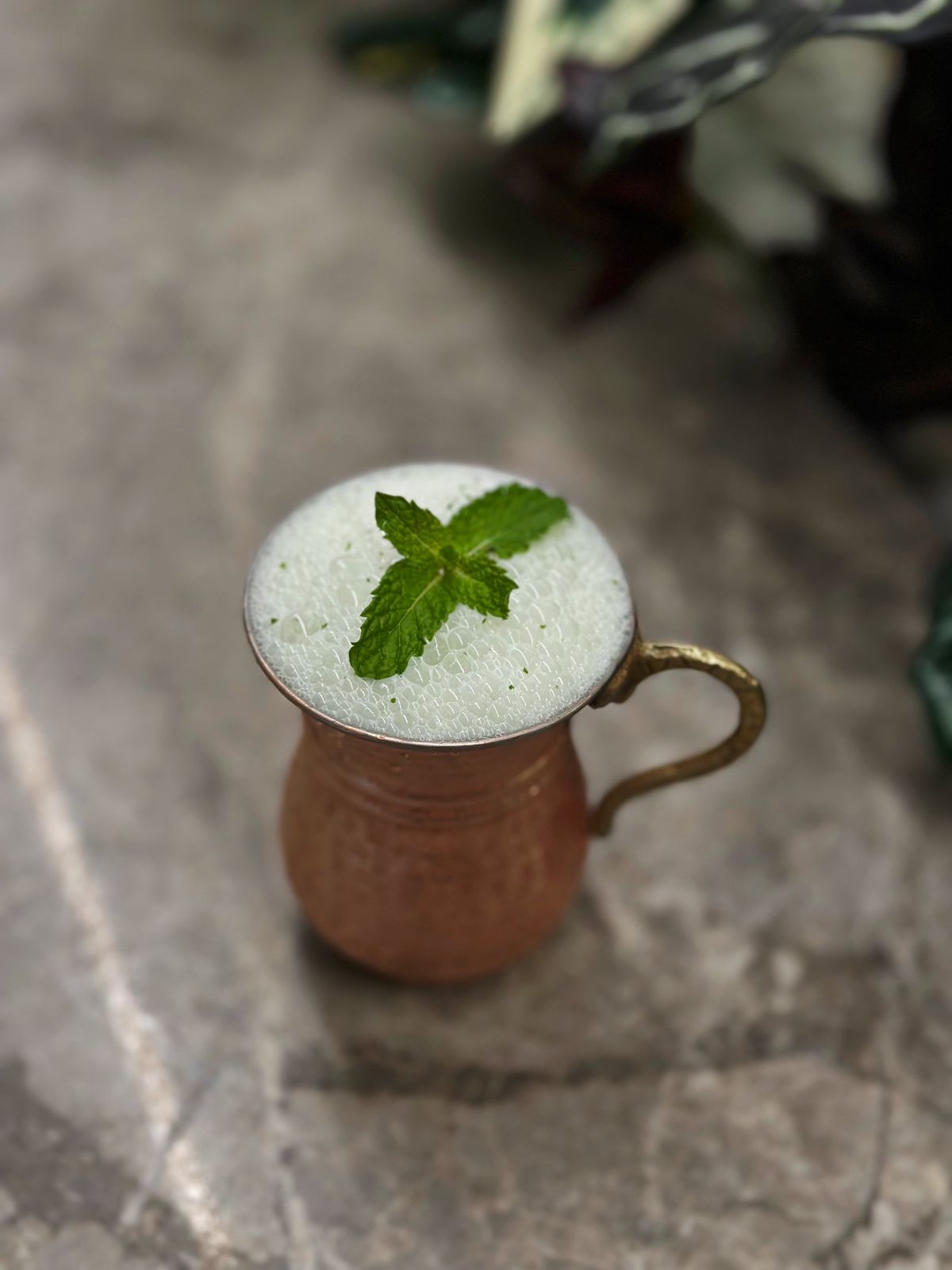 MINT AYRAN